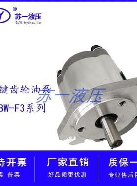 CBW-F304/F306/F308/F310-ALP CFP CLP AFP ALB CFH高压齿轮油泵L