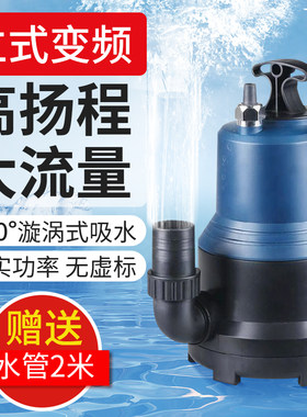 森立式变频抽水泵锦鲤鱼池