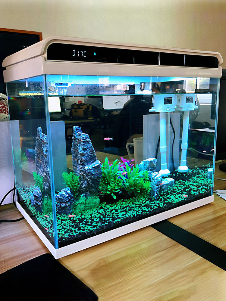 森森高档小鱼缸客厅超白玻璃小型桌面水族箱生态免换水金懒人鱼缸