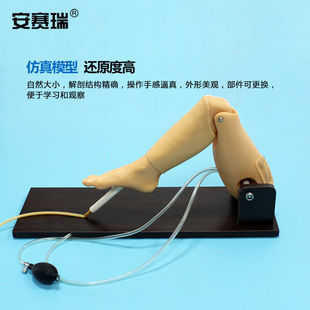 安赛瑞骨穿刺及股静脉穿刺模型穿刺模拟骨髓流出模型穿刺练习静脉