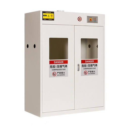 奕多美全钢气瓶柜化学气体安全柜气瓶放置柜白色双瓶液化气柜二代
