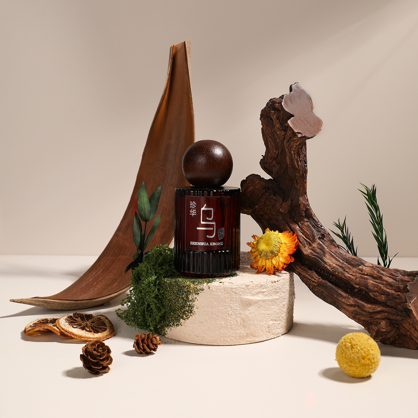 仿真沉木可可叶氛围感拍照道具