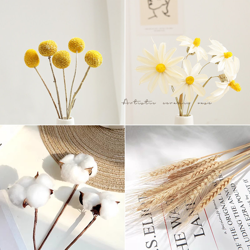 干花拍照装饰道具尤加利麦穗摄影造景布置棉花田园ins摆拍小物件
