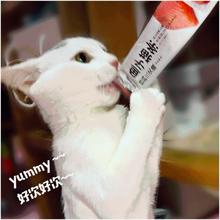 新神经猫咪条幼猫零食营养妙鲜罐头1