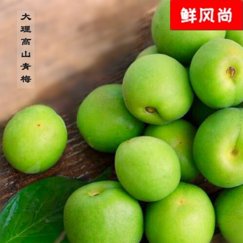 雲南新鮮青梅大果帶箱5斤包郵現摘野生酸脆泡酒佳品可口飽滿多汁在類目 水產肉類/新鮮蔬果/熟食, 新鮮水果, 其它中 - 來自Buy2taobao.com提供專業的淘寶代購服務