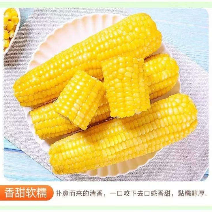 糯九   黄糯小粒玉米  10根   非转基因 单根重220-240克