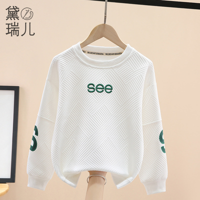 男童加绒卫衣春季2024新款儿童洋气长袖男大童春秋款加厚白色上衣