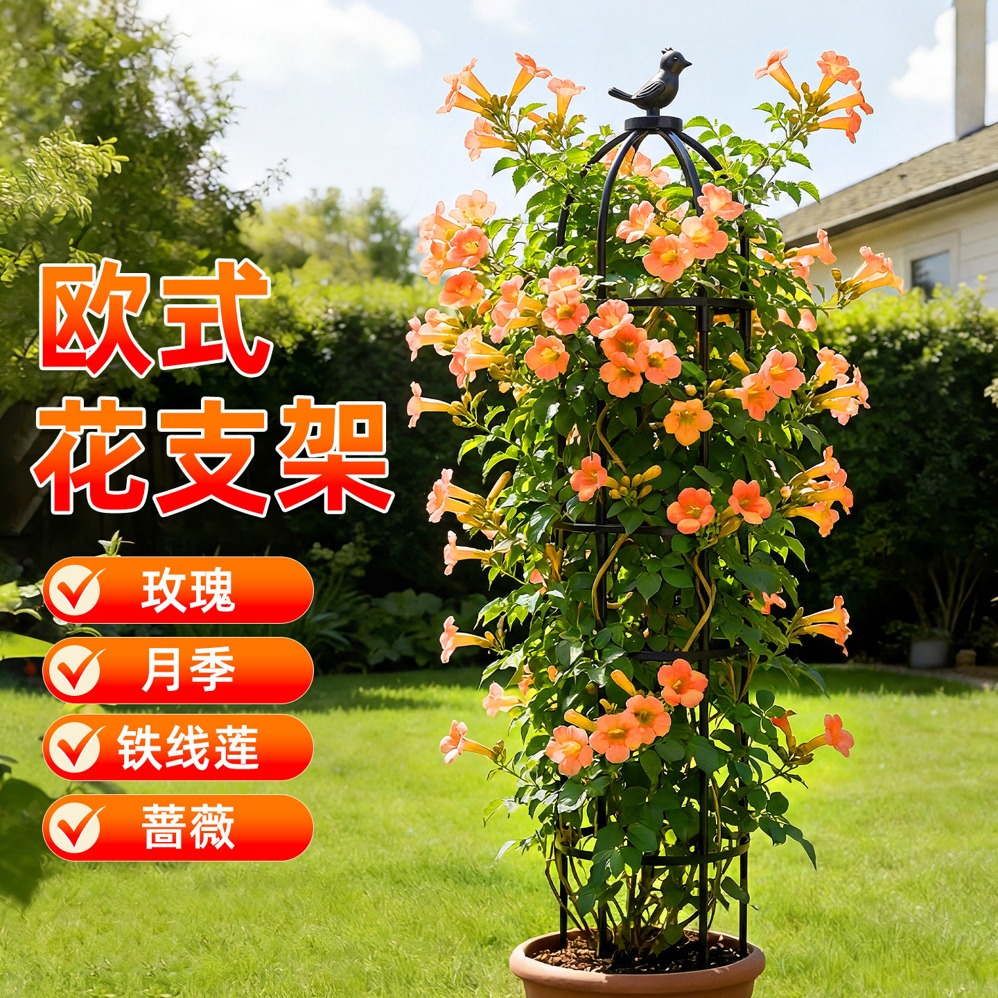 铁线莲爬藤架月季花防倒架欧式花卉植物防倒支架阳台庭院户外架子