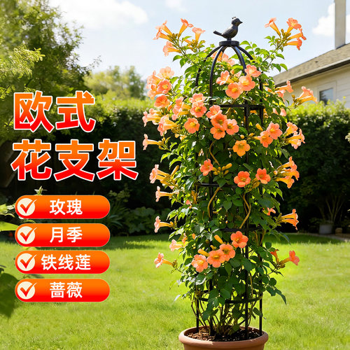 蔷薇爬藤植物专用防倒欧式支撑架