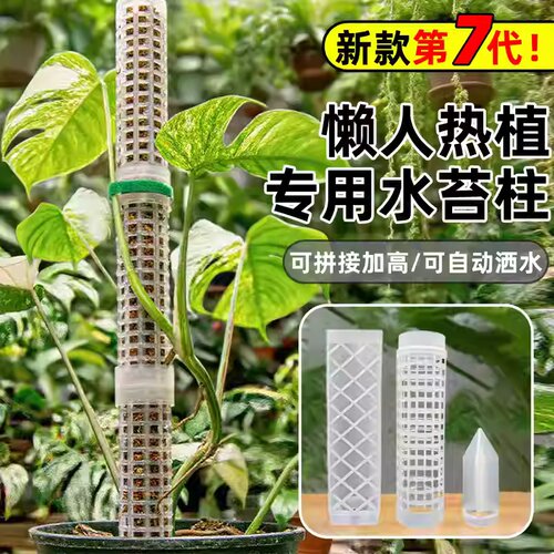 水苔柱龟背竹专用新型可拼接延长