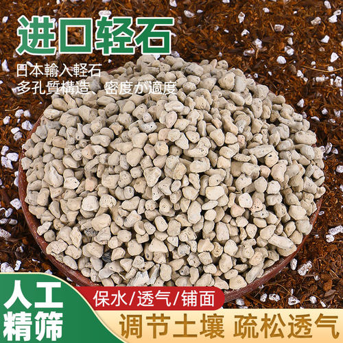 兰花透气铺面种植轻石浮石钵底石