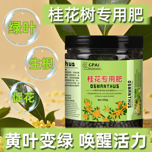 桂花专用肥唤醒活力拒绝无效施肥