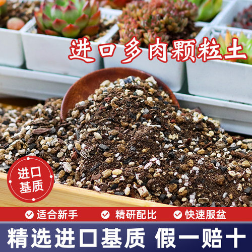 CPAI专业配比多肉高端颗粒营养土