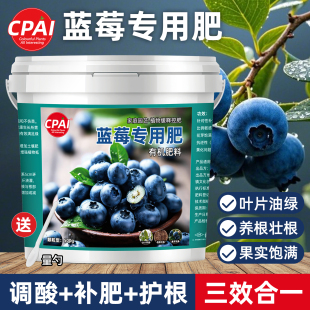 蓝莓专用肥蓝莓树果苗盆栽颗粒肥酸性缓释肥促生长硫酸钾复合肥料