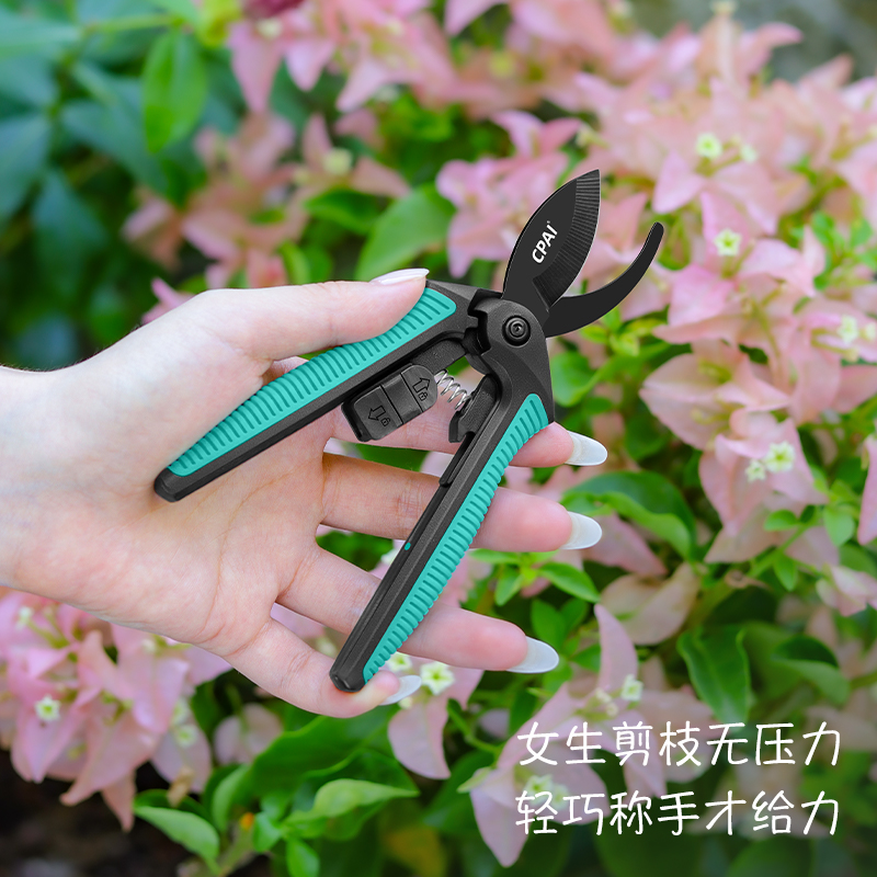 CPAI修剪树枝剪刀花剪园艺专用剪