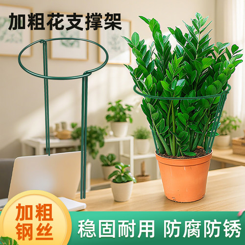 花支撑架护花架支撑杆金钱树护叶