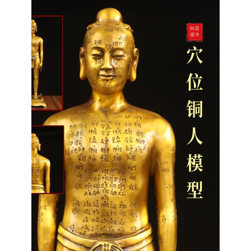中医经络穴位模型人体解剖结构模型针灸铜人饰品