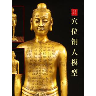 中医经络穴位模型人体解剖结构模型针灸铜人饰品