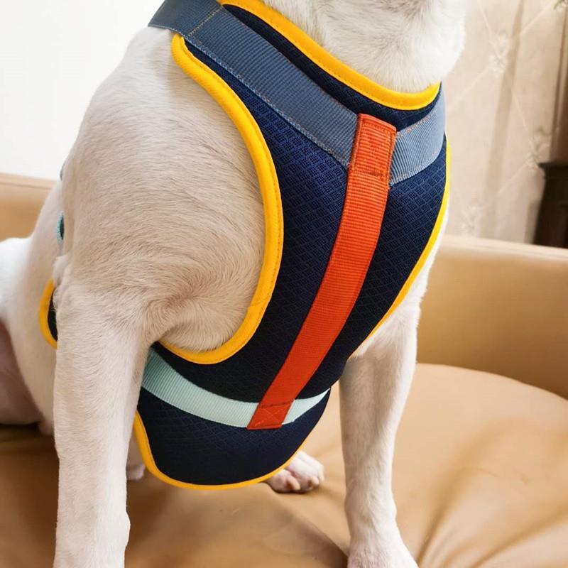 宠物胸背带狗狗牵引绳背心式大型遛狗绳子中型犬用品胸背套装