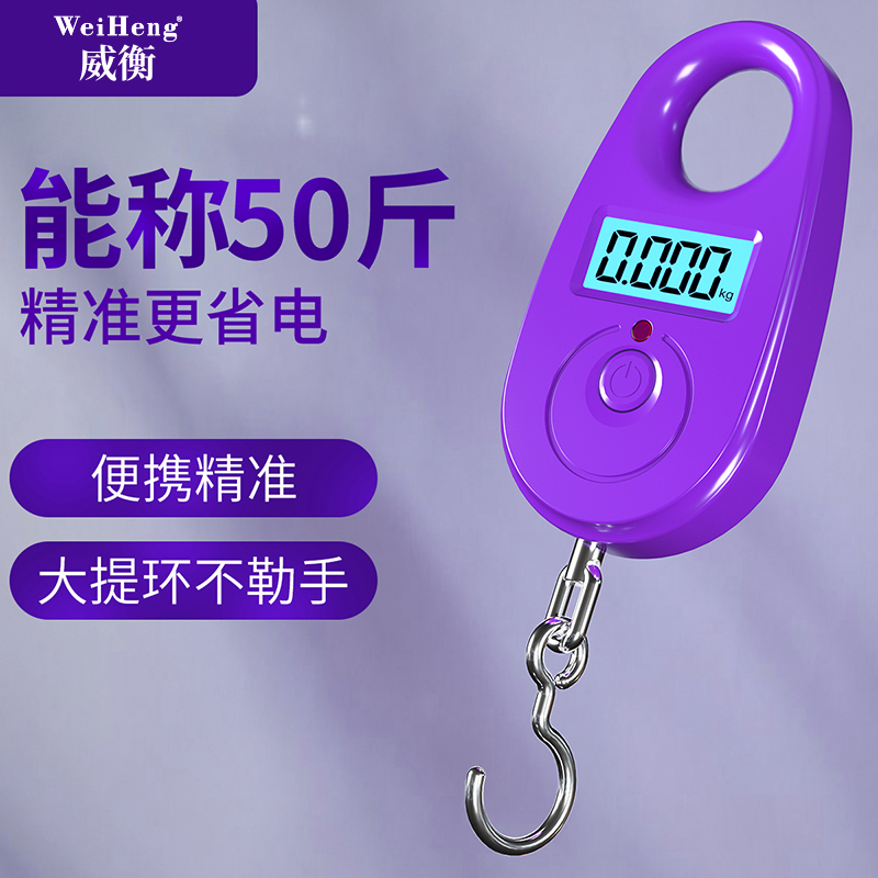 威衡迷你便攜式手提秤家用小秤