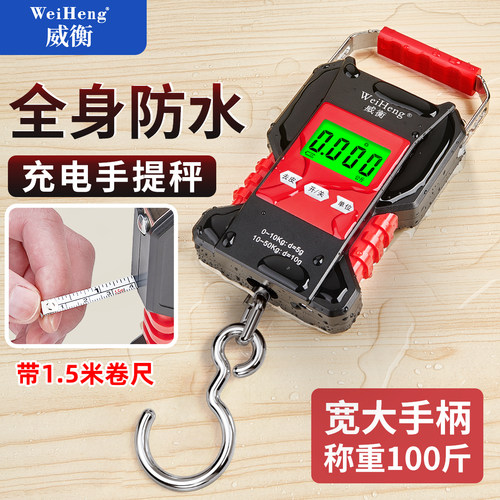 防水手提电子秤便携钓鱼称重钩子