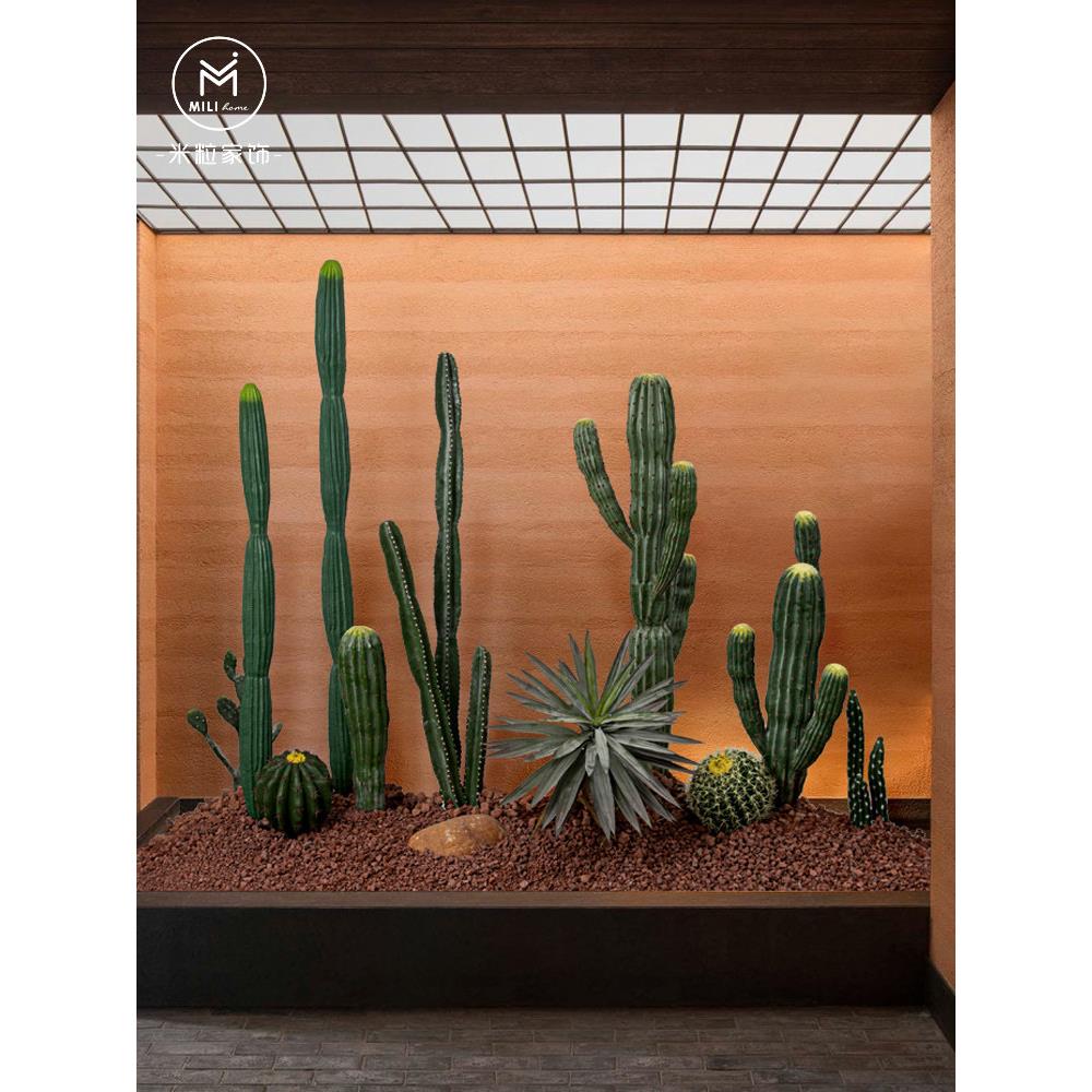 模拟仙人掌景观室内沙漠植物景观创意窗球型热带绿色植物仙人掌装