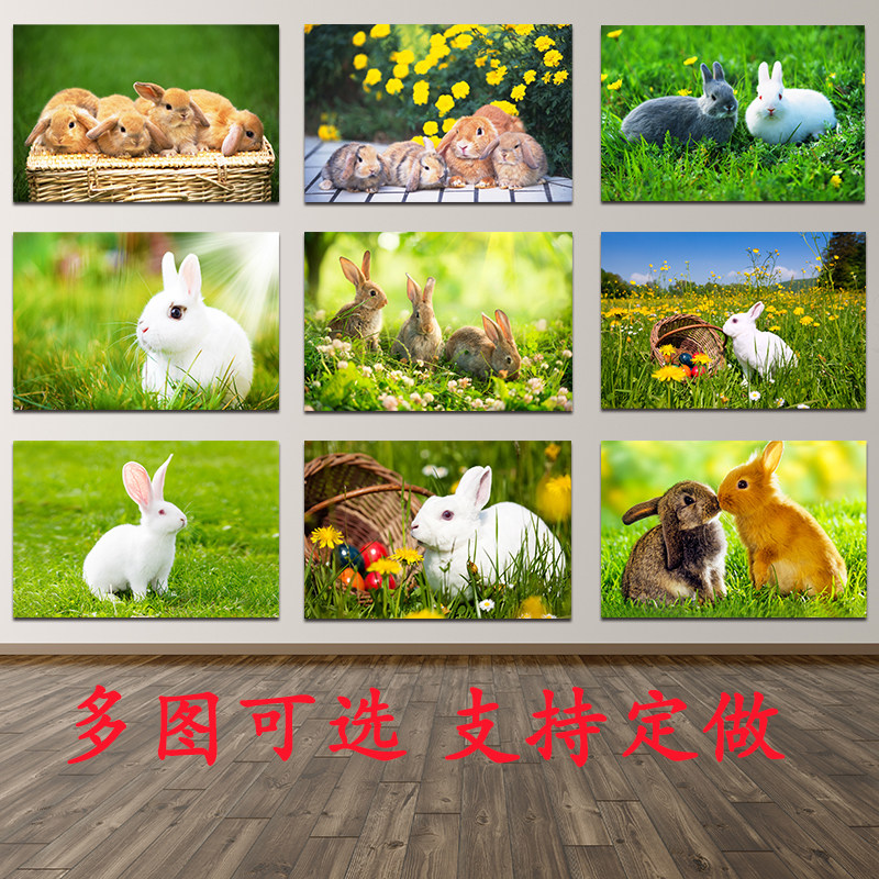 兔子画报动物白兔多祇兔子墙贴自粘防水挂画现代装饰画铝合金画框