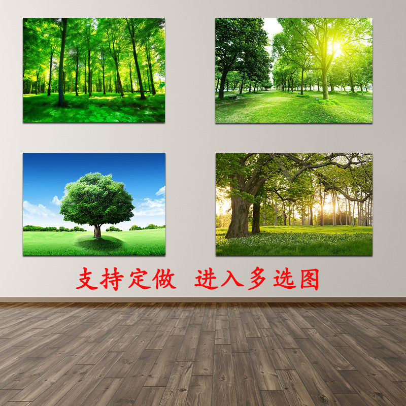 大树蓝天草地森林阳光大自然风景画室内装饰墙贴自粘防水护眼壁画