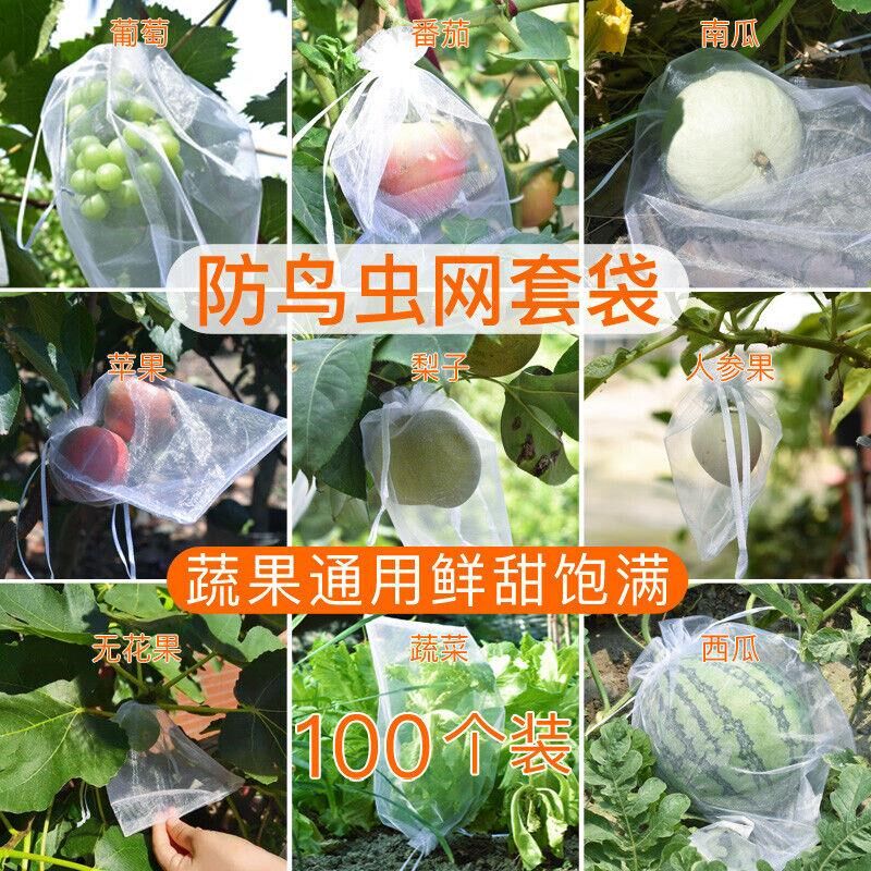 热销尼龙网袋葡h萄套袋专用袋子防鸟网防虫水果防虫网袋草莓无花