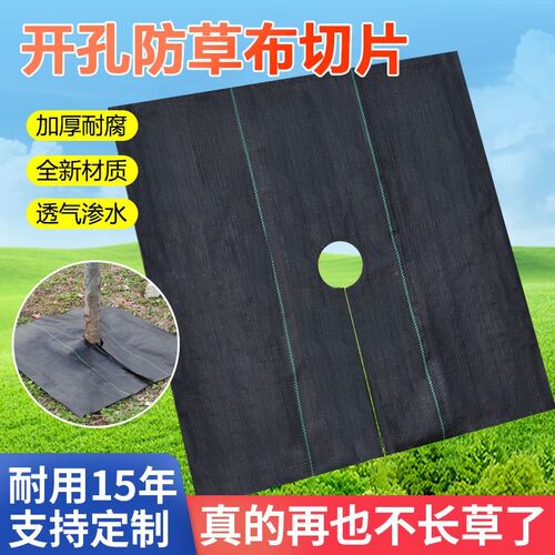 热销打孔切片f防草布果园果树除草布透气透水农用遮草布抑草盖草