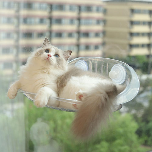 热销猫窝四季通用猫爬架猫咪窗户吸盘挂床秋M千阳台床边玻璃睡觉