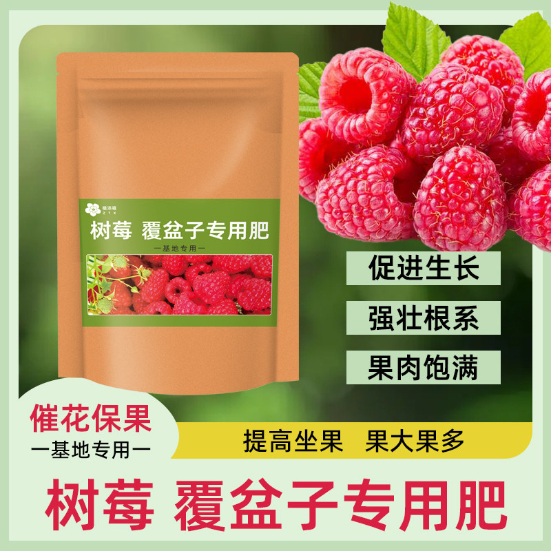 大袋装【树莓专用肥】促花保果树莓肥料覆盆子专用肥颗粒有机肥,农用物资,有机肥,淘宝优惠券,粉丝福利购,淘宝优惠卷