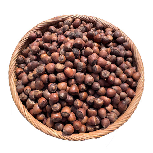 小毛榛子小时候的味道