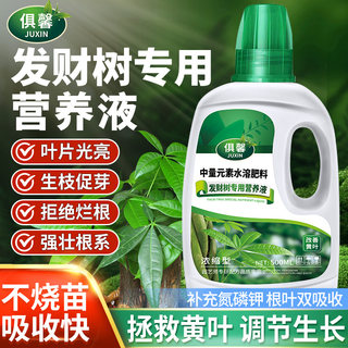 发财树营养液肥料专用肥植物叶子发黄掉叶烂根室内盆栽花卉通用肥