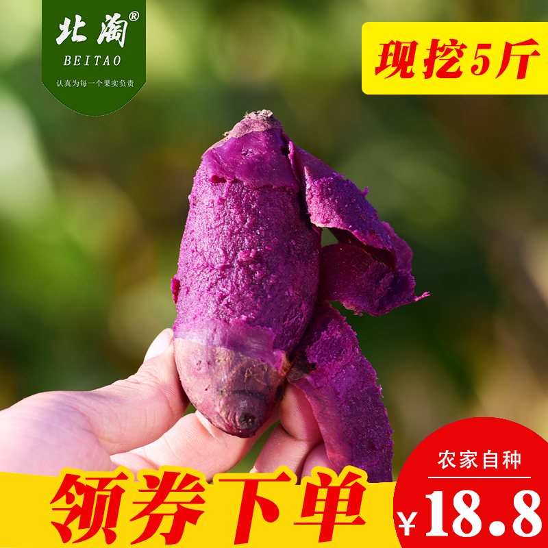 紫薯新鲜 5斤香薯农家自种山芋大地瓜小番薯红薯蜜薯香薯非10越南
