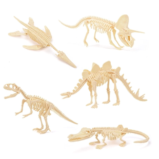 考古盲盒 恐龙化石挖掘恐龙骨架拼装模型益智玩具男孩儿童节礼物