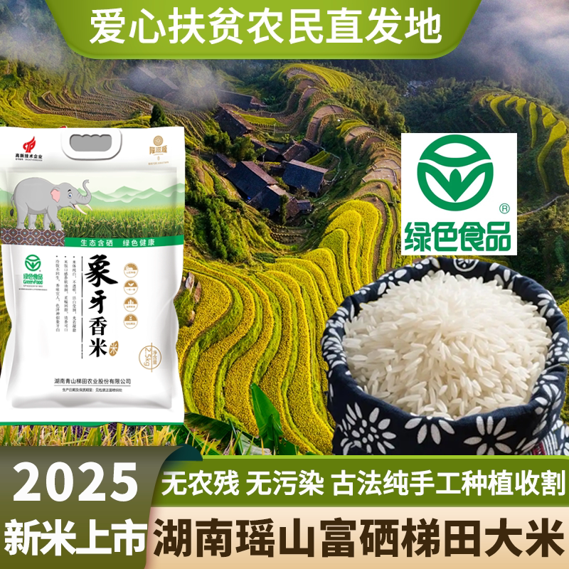 瑶山山区象牙香米25年新米农家茉莉香米炒饭丝苗籼米绿色有机大米