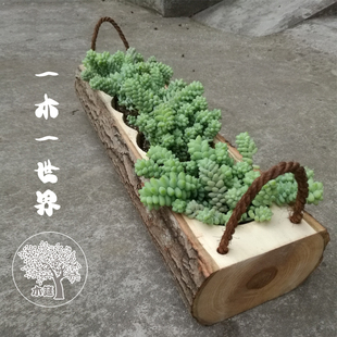 原木社多肉花盆带皮原生态微景观提手式实木创意自然阳台石斛木槽