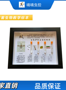 病媒实验室昆虫实物标本蚊蝇蚂蚁臭虫蜈蚣蝎子螳螂蜘蛛分类标本盒