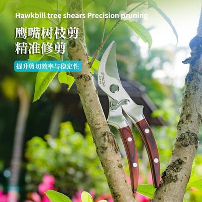 外贸全钢树枝剪刀修剪枝专用枝剪园艺修花花剪园林剪刀修枝剪果树