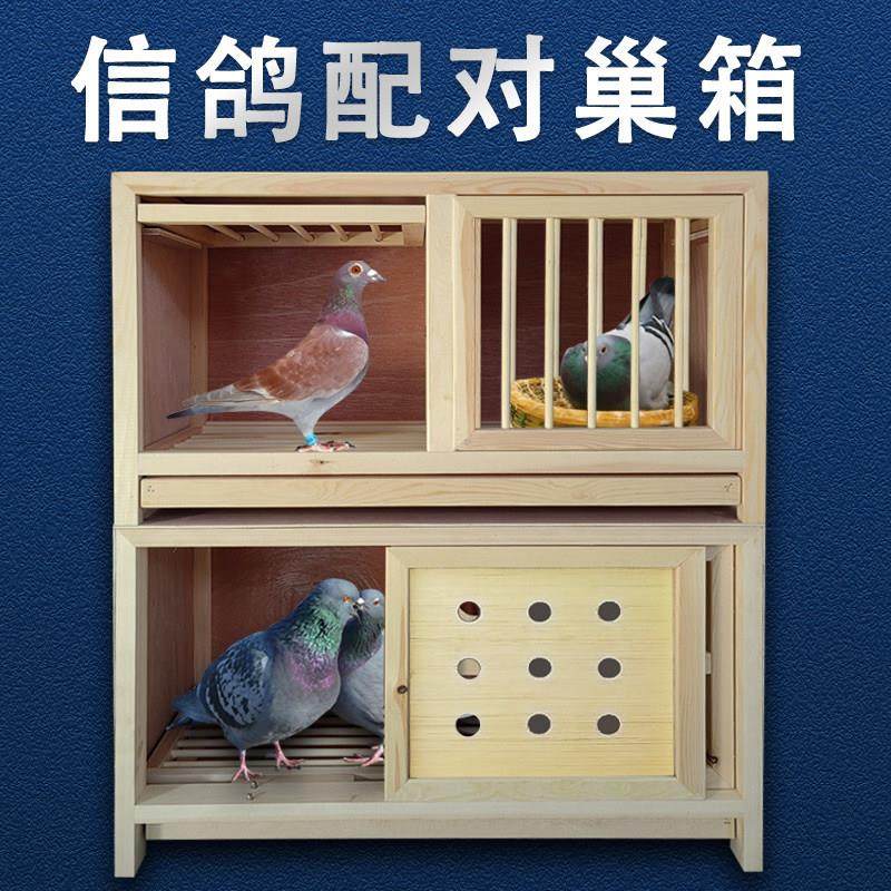 信鸽子配对笼巢箱繁殖上翻门鸽具实木支持定制组合赛飞种鸽赛飞箱