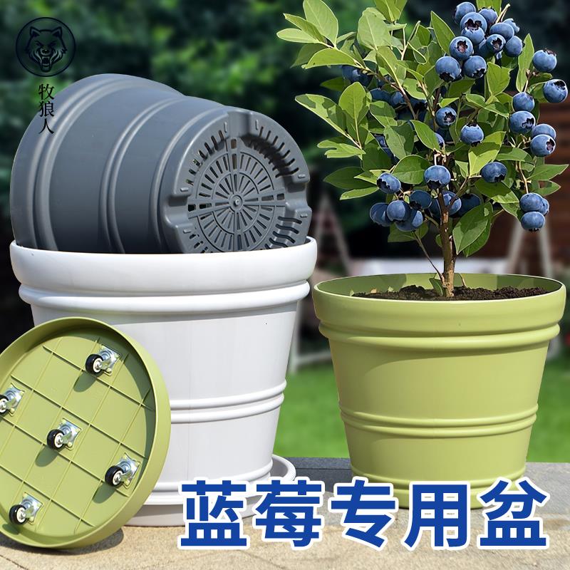 【蓝莓专用盆】阳台大花盆圆形特大青山控根盆特大号果树种植花盆