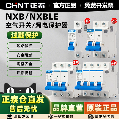 正泰NXB小型空气开关断路器2P63A