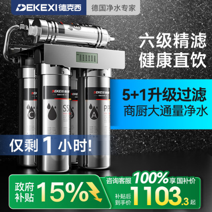 政府补贴德国德克西净水器家用直饮厨房商用自来水前置过滤器净水