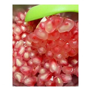 石榴树树苗突尼斯软籽石榴苗盆栽庭院果树特大无籽甜石榴树苗正宗