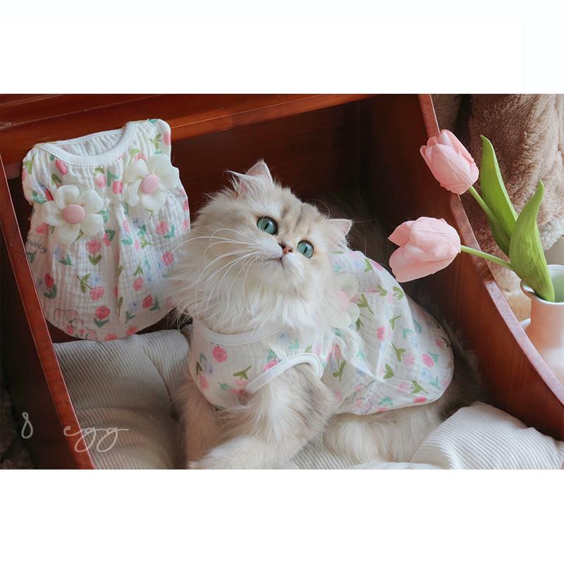 8 EGG/春天花朵朵~ins宠物猫咪衣服狗狗背心春夏薄款绉纱棉柔软