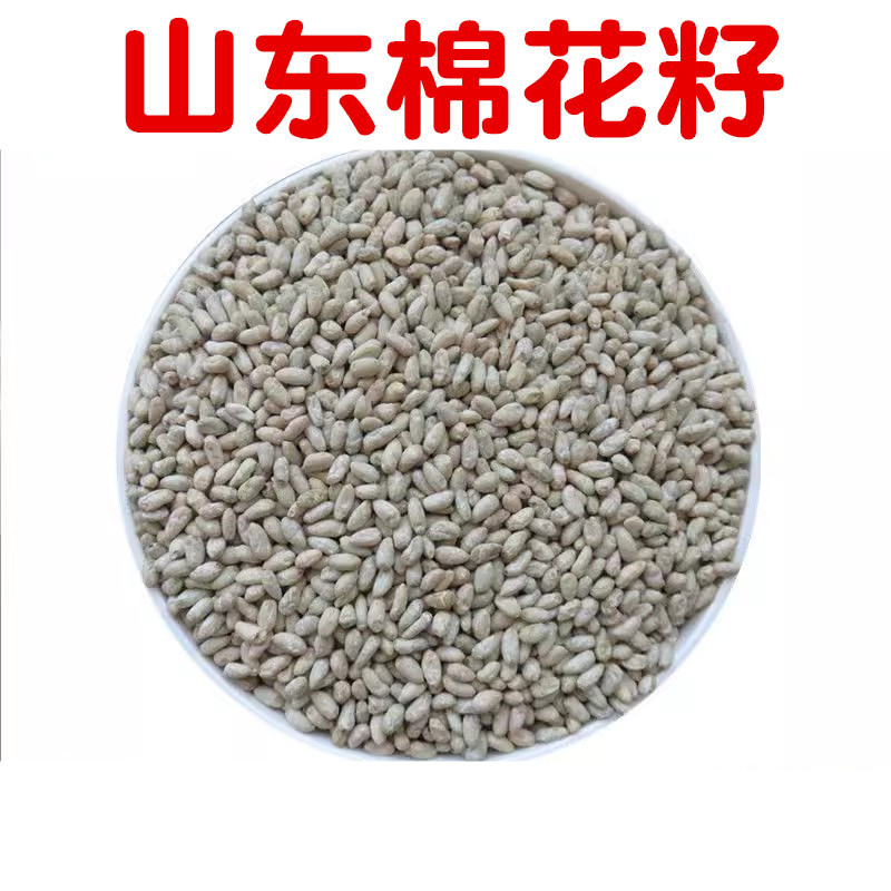 山东棉花籽棉籽棉仁棉花籽子棉花子棉籽去无壳 棉花籽