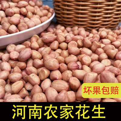 河南农家新鲜花生米不带壳晒干花生生花生花生仁榨油花生白花生米