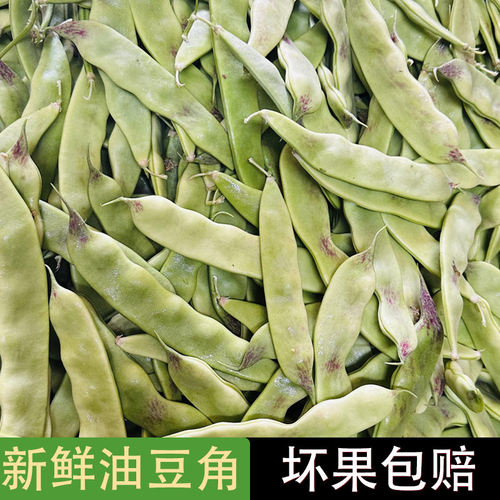 新鲜东北油豆角新鲜油豆角开锅烂自种面豆角新鲜蔬菜正宗油豆角