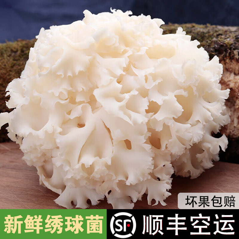 【顺丰包邮】新鲜绣球菌菌菇食用菌鲜绣球菇对花菌凉拌煲汤火锅